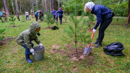 Республиканская акция «Неделя леса» пройдет на Гродненщине с 15 по 22 апреля